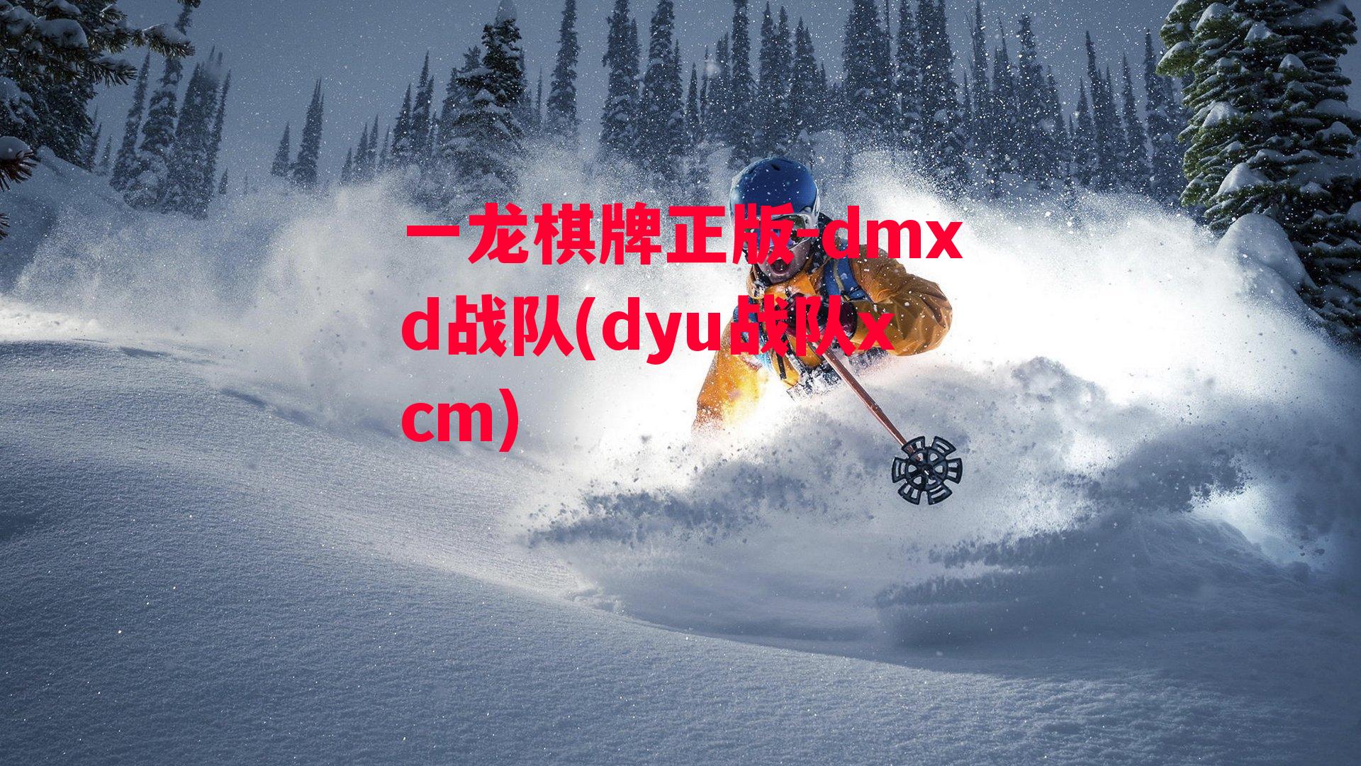 dmxd战队(dyu战队xcm)