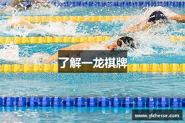 了解一龙棋牌